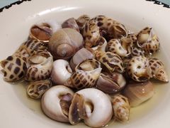 螺双拼-高佳庄·舟山海鲜(海景旗舰店)