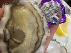 -斯普汇生蚝牛排馆(中骏世界城店)