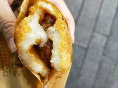 油氽团子-赵天禄(葑门横街店)