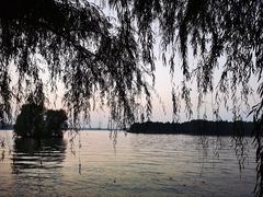 -溱湖国家湿地公园