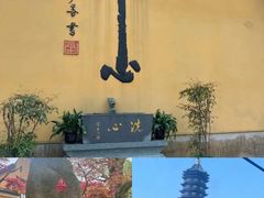 -东极岛景区