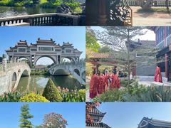 -顺峰山公园