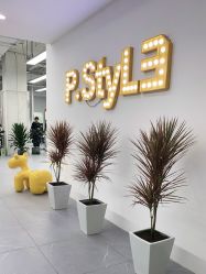 -P.STYLE派斯造型