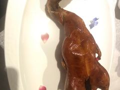 -翠府(翠湖北路店)