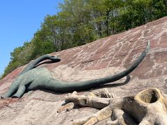 -哈尔滨北方森林动物园