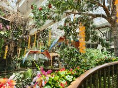 -正佳雨林生态植物园