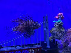 -太平洋海底世界