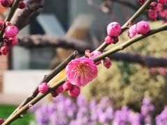 -静安雕塑公园