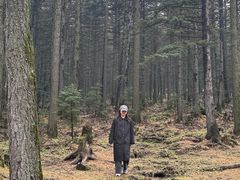 -芦芽山旅游度假区