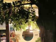 -老平安农家菜(平安店)