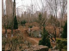 -前关湿地公园