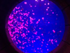 -波塞冬旅游度假区