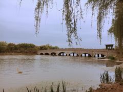 -昆山城市生态森林公园
