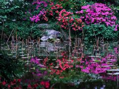 -杭州植物园