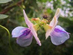 -泉州海丝野生动物世界