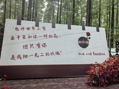 -黄海国家森林公园