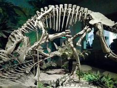 -自贡恐龙博物馆