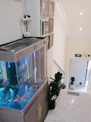 -海涛医疗美容·面部抗衰·注射美鼻