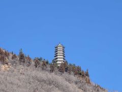 -龙口南山旅游景区