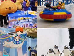 -广州热雪奇迹