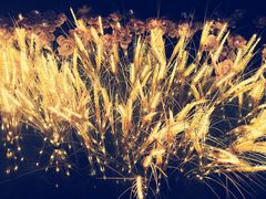 -西安创业咖啡街区