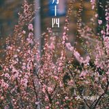 春季桃花拍照教程