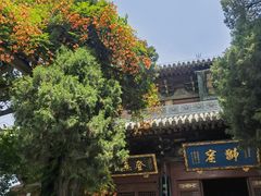-洛阳白马寺
