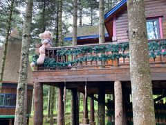 -洛阳白云山景区