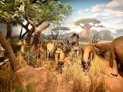 -陕西自然博物馆