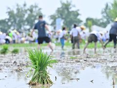 -中国天府农业博览园