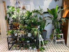 店内环境-The Green Party(嘉里中心店)