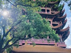 -黄鹤楼公园(黄鹤楼)