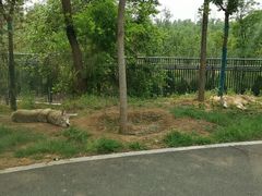 -秦皇岛野生动物园