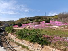 -棒棰岛宾馆景区
