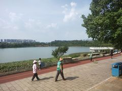 -洛龙公园