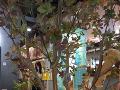 -咖法森林·咖啡  酒吧(天河店)