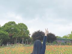 -秀丽东方