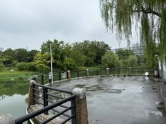 -月湖风景区