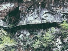 -秦岭风景区