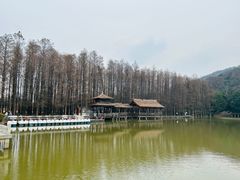 -采石矶景区