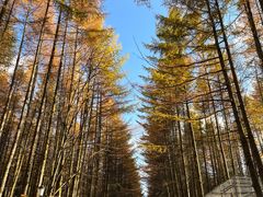 -光雾山旅游景区