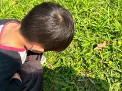 -怡海公园(桂城街道)