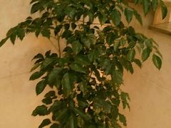 -乐享养生(东湖店)