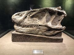 -自贡恐龙博物馆