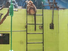 -石家庄市动物园