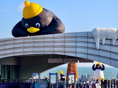 -汕头中海黄金海岸水上乐园