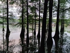 -苏州工学院(东湖校区)