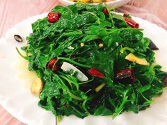 南瓜尖-王万妈卤猪脚(青岩交通路)
