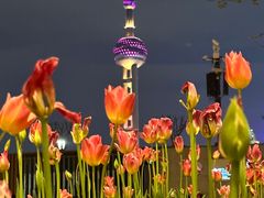 -外滩