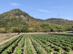 -八卦田遗址公园